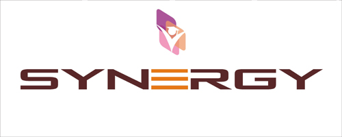 synergy group